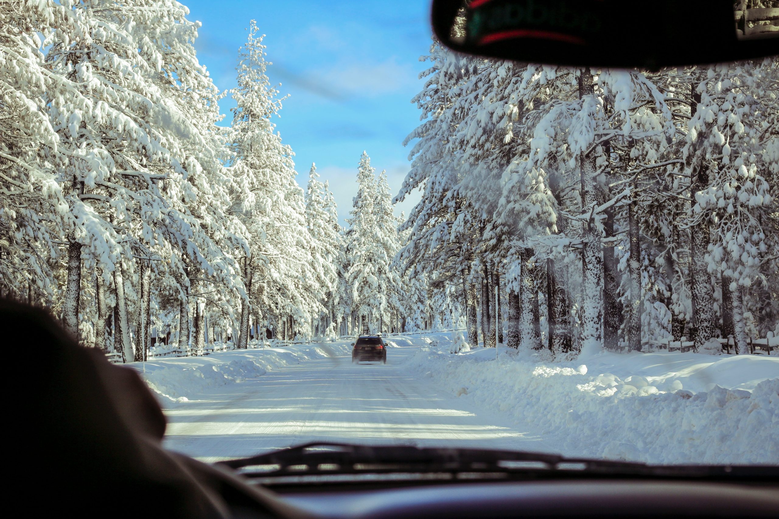 To biler på vintervei gjennom skogen